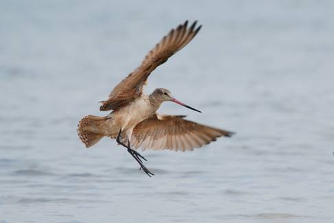 Fall Migration Getaway-008