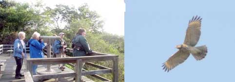 Virginia Birding Adventure 1