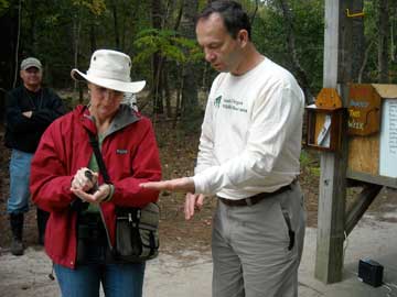 Bird banding - the release #1