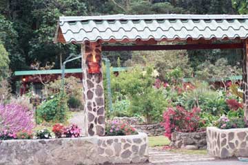 Flower garden
