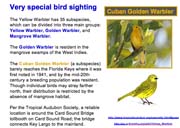 CubanYellow Warbler
