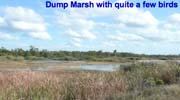 DumpMarsh