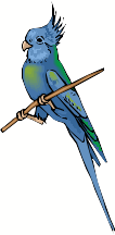 blue bird