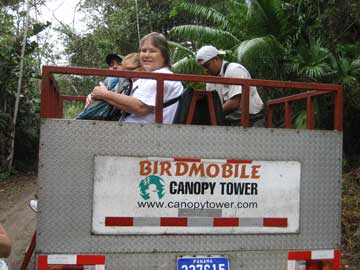 Birdmobile
