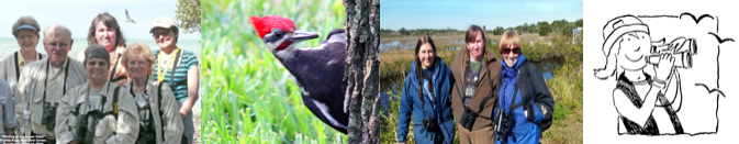 2019-20 BIRDING ADVENTURES with PADDY CUNNINGHAM
