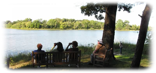 Birders in the field.