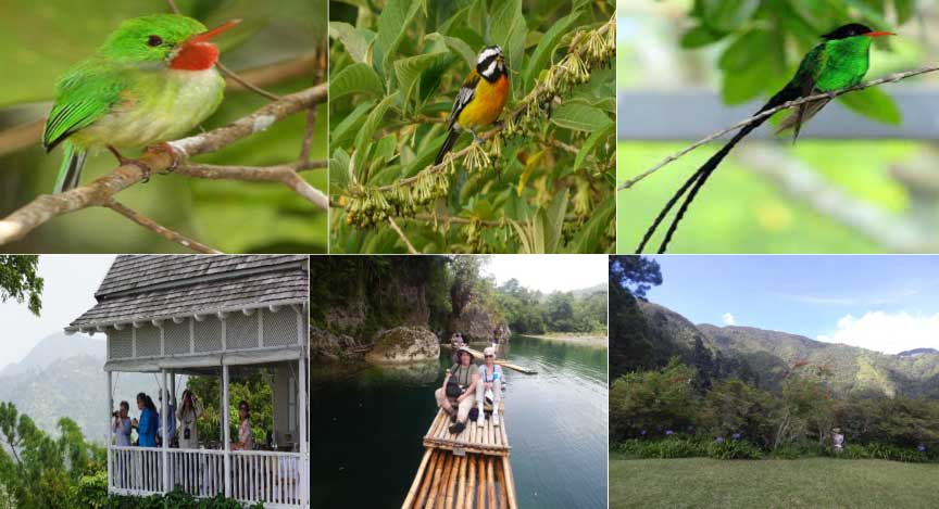 Jamaica Tropical Adventure title=